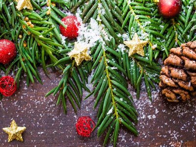 Julepynt fra egen have